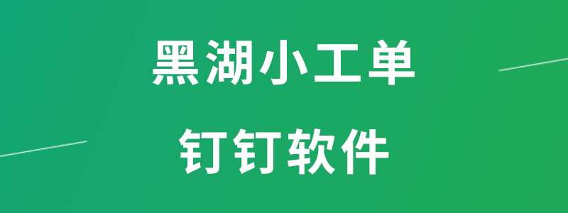 黑湖小工单钉钉软件.png