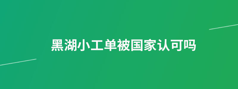 黑湖小工单.png